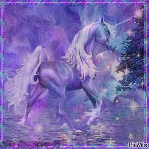 Meet your Posher, Shannon - Picture 1 of 1